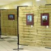 Eötvös galéria, kiállítások